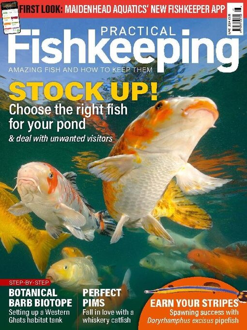 Title details for Practical Fishkeeping by Warners Group Publications Plc - Available